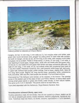 Milan Zachar: Rod Turbinicarpus