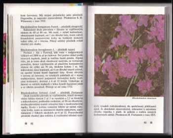 Čestmír Böhm: Rododendrony a další vřesovcovité rostliny