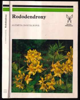 Rododendrony