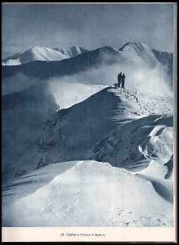 Milan Šaradin: Roháče v zime