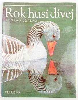 Rok husi divej