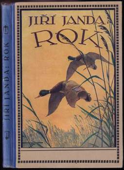 Rok