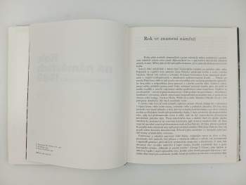 Jiří Všetečka: Rok na náměstích