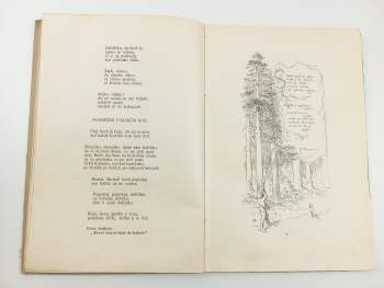 Vojta Beneš: Rok na vsi