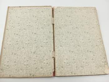 Vojta Beneš: Rok na vsi