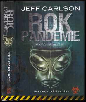 Rok pandemie