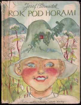 Rok pod horami