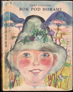 Rok pod horami