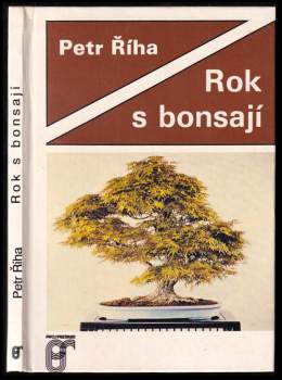 Rok s bonsají