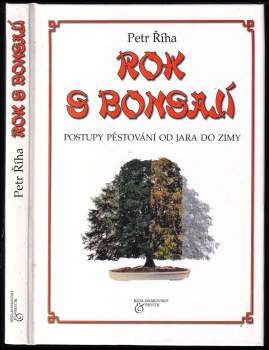 Rok s bonsají
