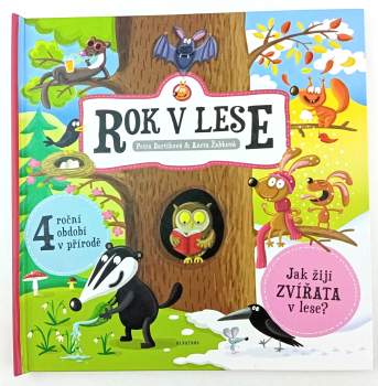 Rok v lese : jak žijí zvířata v lese? : 4 roční období v přírodě