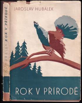 Rok v přírodě