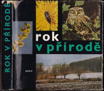Rok v přírodě