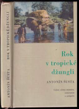 Rok v tropické džungli