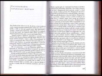 John Irving: Rok vdovou