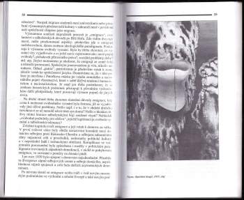 Jaroslava Pešková: Role vědomí v dějinách a jiné eseje