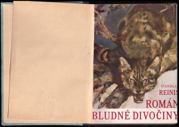 Stanislav Reiniš: Román bludné divočiny