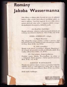 Jakob Wassermann: Román muzikantův