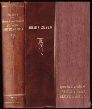 Román o věrném přátelství Amise a Amila