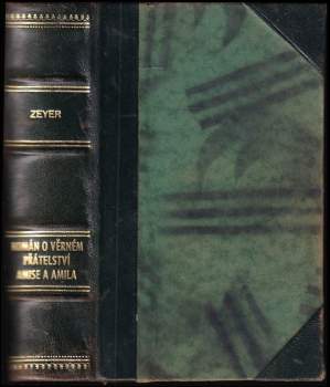 Román o věrném přátelství Amise a Amila