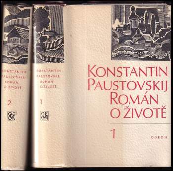 Román o životě