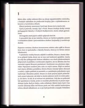 Michal Viewegh: Román pro muže