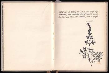 František Hrubín: Romance pro křídlovku