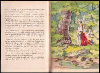 Romaneta a novely