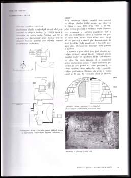 Jiří Škabrada: Románské domy v Praze