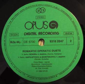 Gaetano Donizetti: Romantic Operatic Duets
