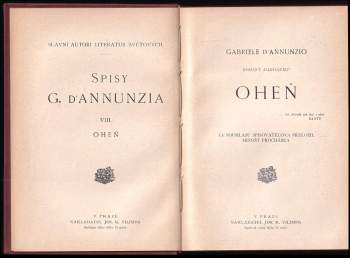 Gabriele d'Annunzio: Romány marhaníku