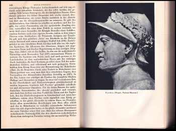 Theodor Mommsen: Romische Geschichte. Gekurzte ausgabe. (Římské dějiny, zkrácené vydání)
