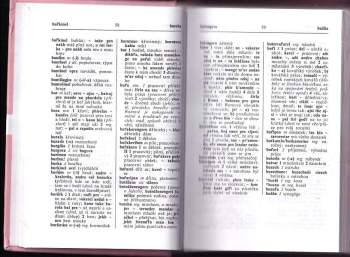 Hana Šebková: Romsko-český a česko-romský kapesní slovník