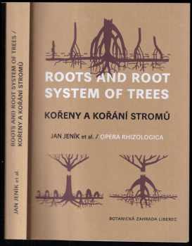 Kořeny a kořání stromů
