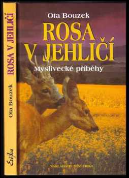 Rosa v jehličí