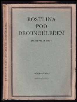Silvestr Prát: Rostlina pod drobnohledem