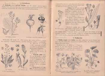 František Polívka: Rostlinopis a nauka o zemi pro I. a II. třídu středních škol