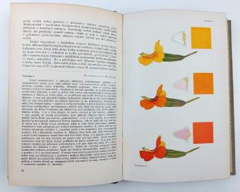 Artur Brožek: Rostlinopis