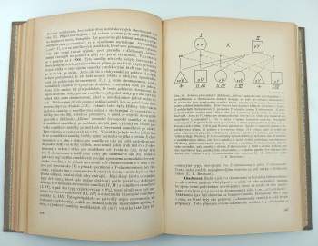 Artur Brožek: Rostlinopis