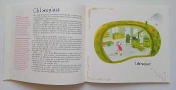 Jiří Dvořák: Rostlinopis
