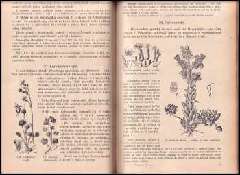 František Polívka: Rostlinopis pro nižší třídy škol středních