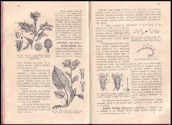 Josef Rosický: Rostlinopis pro ústavy ku vzdělání učitelů a učitelek