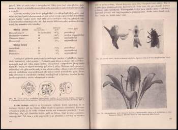 Bohumil Němec: Rostlinopis - Svazek IV. 1 + 2 - Jak rostou rostliny + Pohyby a rozmnožování rostlin. Fysiologická anatomie rostlin