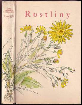 Rostliny