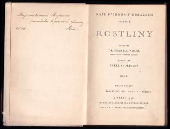 Karel Svolinský: Rostliny