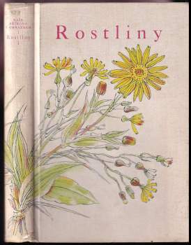 Rostliny