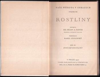 Karel Svolinský: Rostliny
