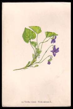 František Antonín Novák: Rostliny