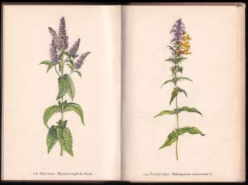 František Antonín Novák: Rostliny