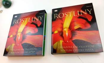 Rostliny
